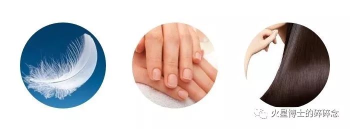 珍珠粉敷脸多久能美白,珍珠粉面膜真的美白吗