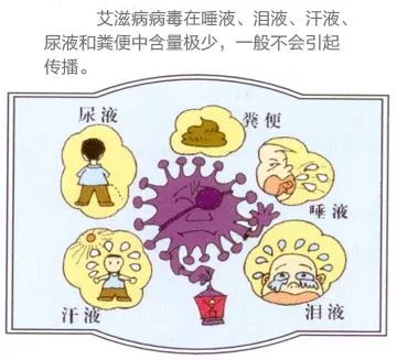 如何预防艾滋病十条知识,防治艾滋病必知12个常识