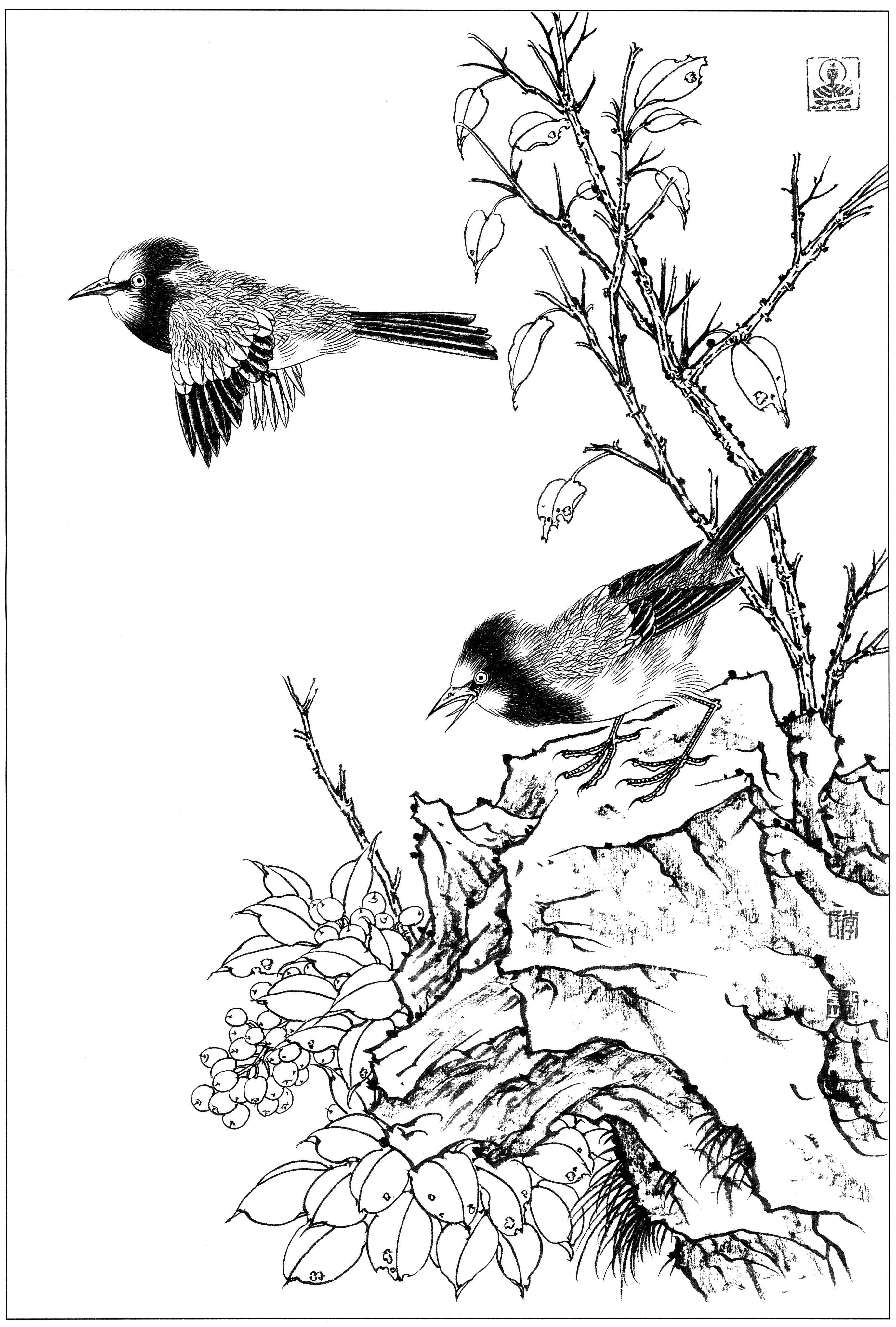 花鸟工笔四条屏白描高清大图,牡丹六尺横幅白描工笔花鸟底稿