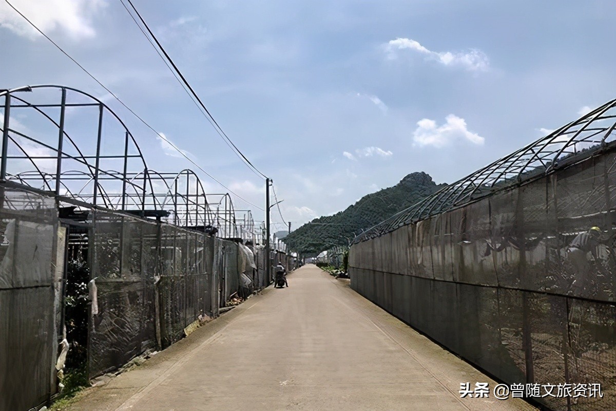 上海石浦镇,云南石浦镇