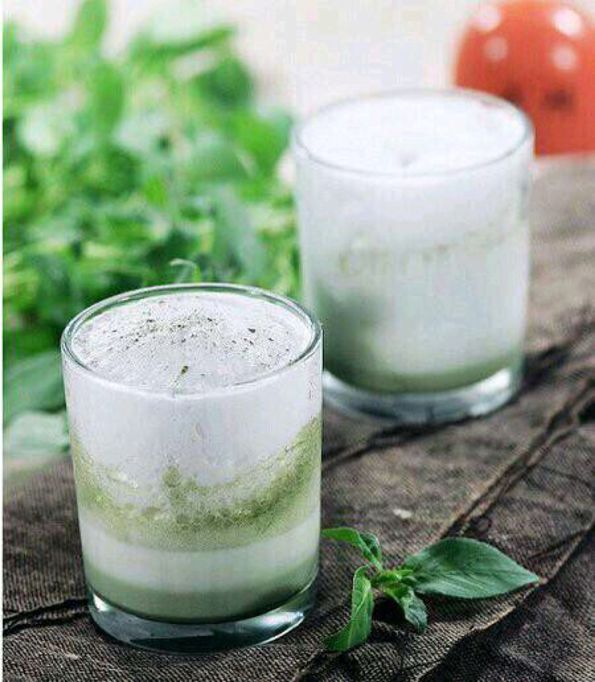 新鲜羊奶是咸的正常吗,为什么羊奶是咸的