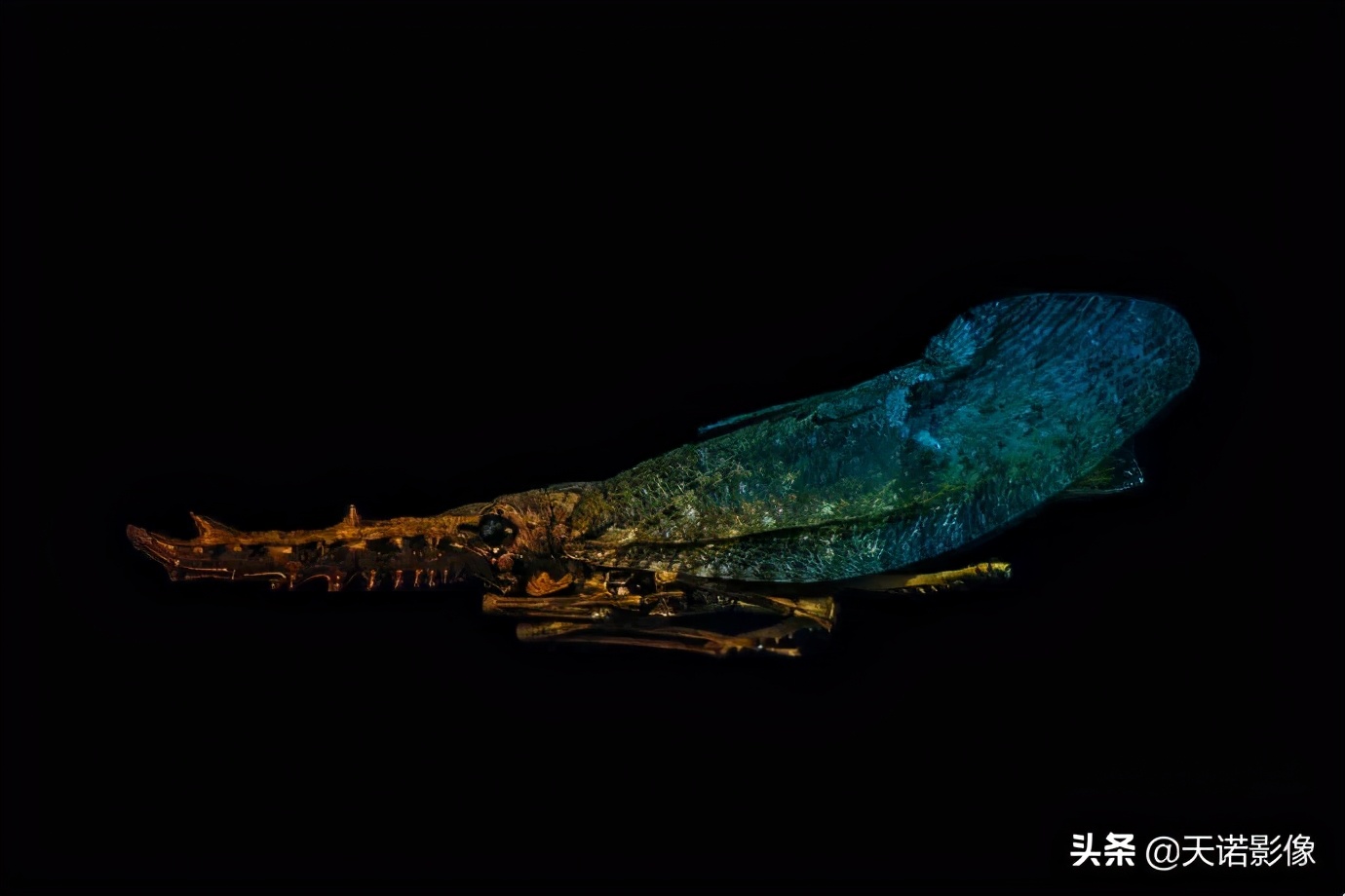 徕卡相机sl2与sl2s哪个更好,极致相机最新版