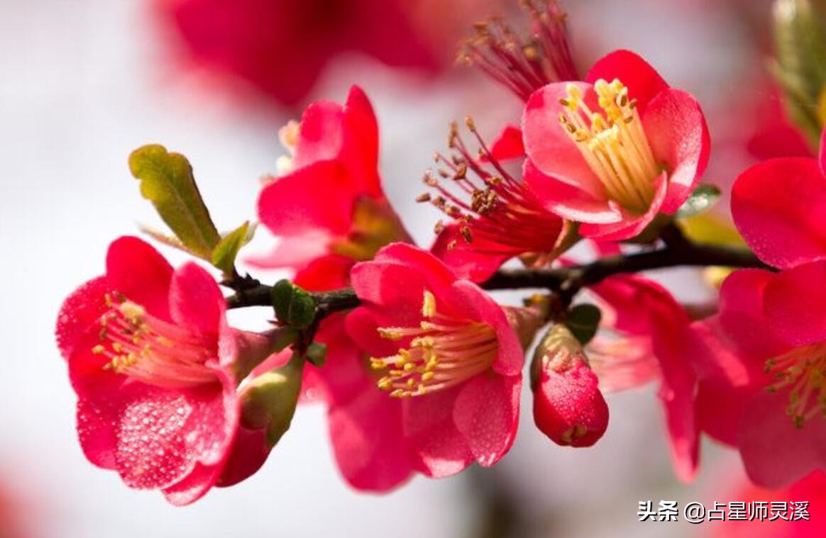 一月份哪些星座运气暴涨,下半年好运一波接一波的星座