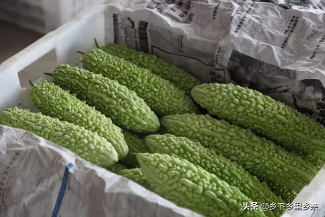 小麦引进中国之前人们吃什么,涨姿势科普刷新您对大米的认知