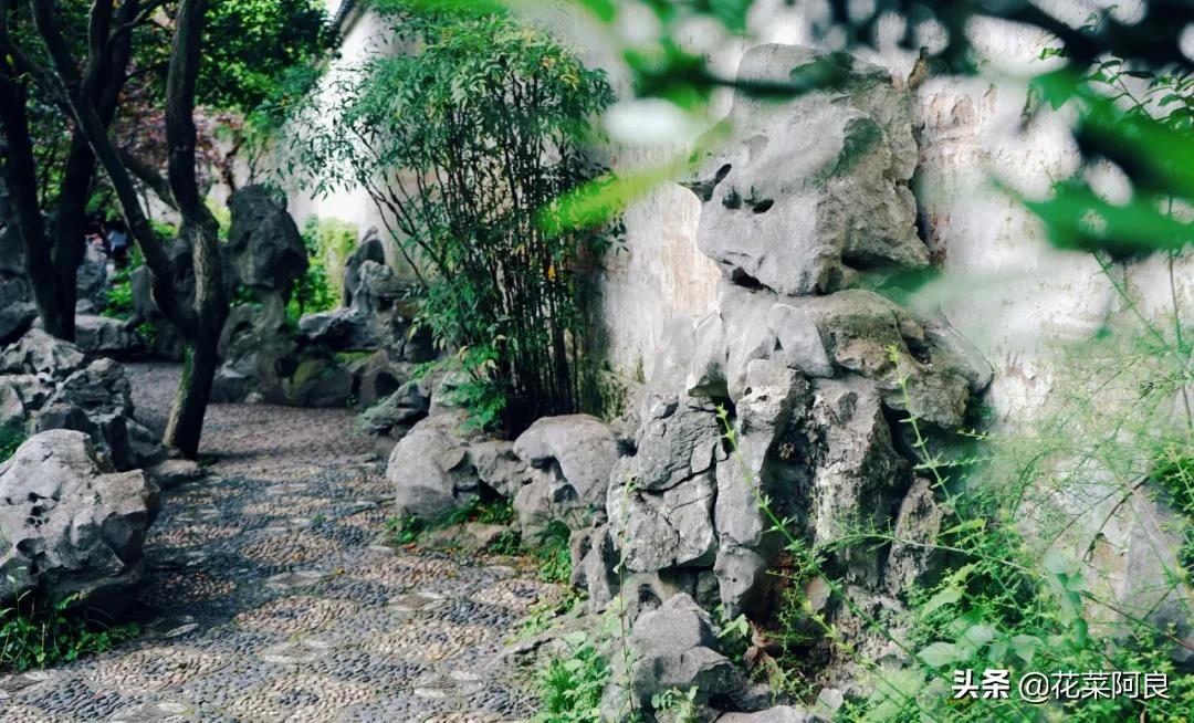 留园拙政园哪个景色好,留园和拙政园