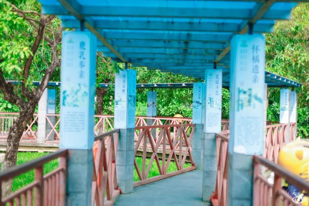 深圳宝藏公园风景图片,深圳宝藏自然游乐区