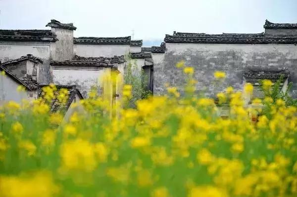 人品差的人再努力也无用,人品不好的人再努力也没有用