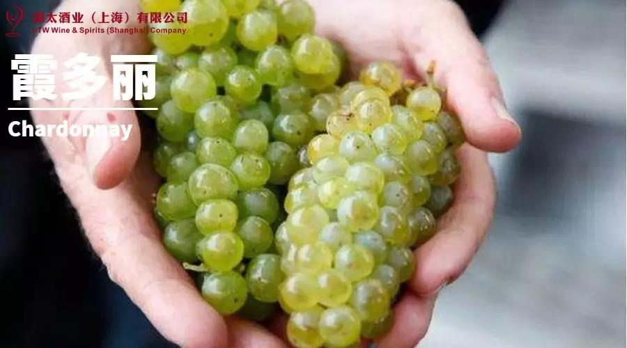 世界葡萄品种最甜十大排名榜,世界十大葡萄酒葡萄品种介绍