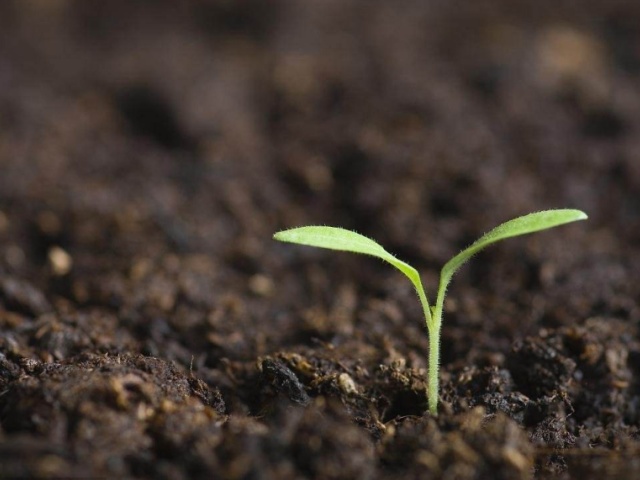 卖泥巴一年赚多少钱,卖泥巴赚钱的方法