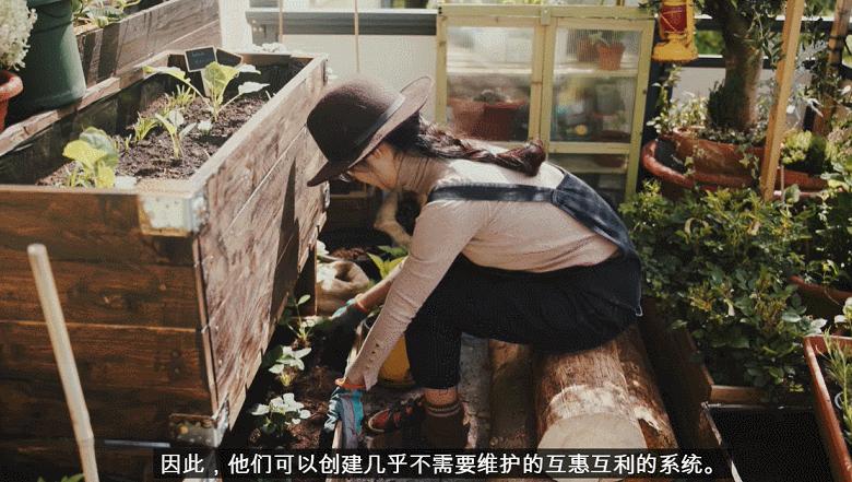 李子柒靠海外视频月入80万,德国版李子柒