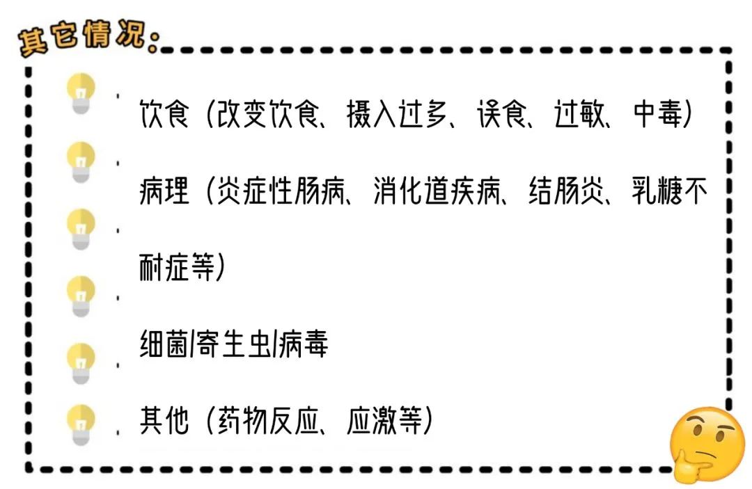 盘点小猫咪的奇怪行为,猫咪光鲜靓丽的背后