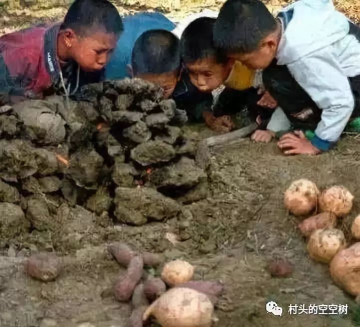 记忆中的野菜糍粑,儿时的红苕