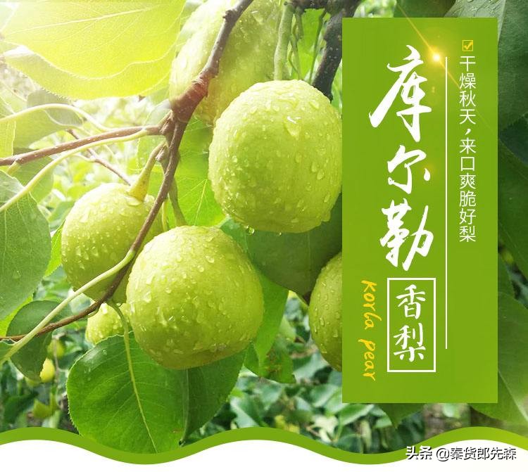 中国特产大全,疆优质特产