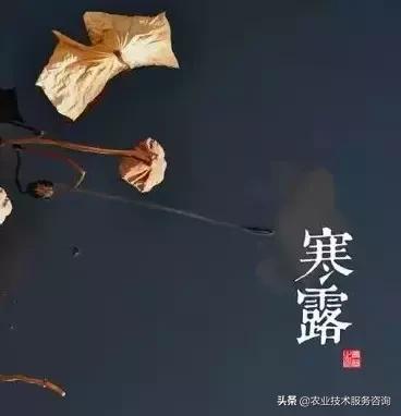 农事节气谚语,农事歌大全