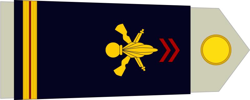 法国将军军衔等级,法国上校是什么军衔