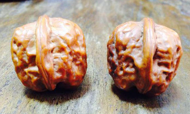 开口笑核桃是拼接的吗,原色元宝开口笑核桃