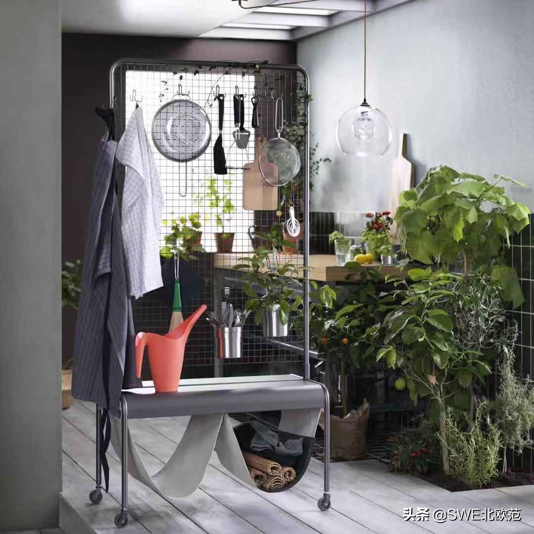 潜伏在读者群里，我默默搜集了很多小白鼠推荐......