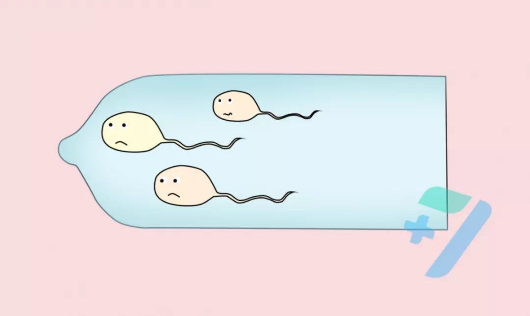 男性避孕药来了！避孕这事也该轮到老公了！