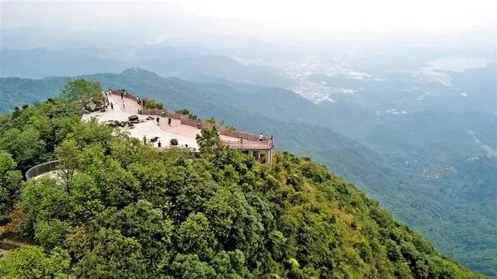 什么是深圳特产,什么是深圳银行