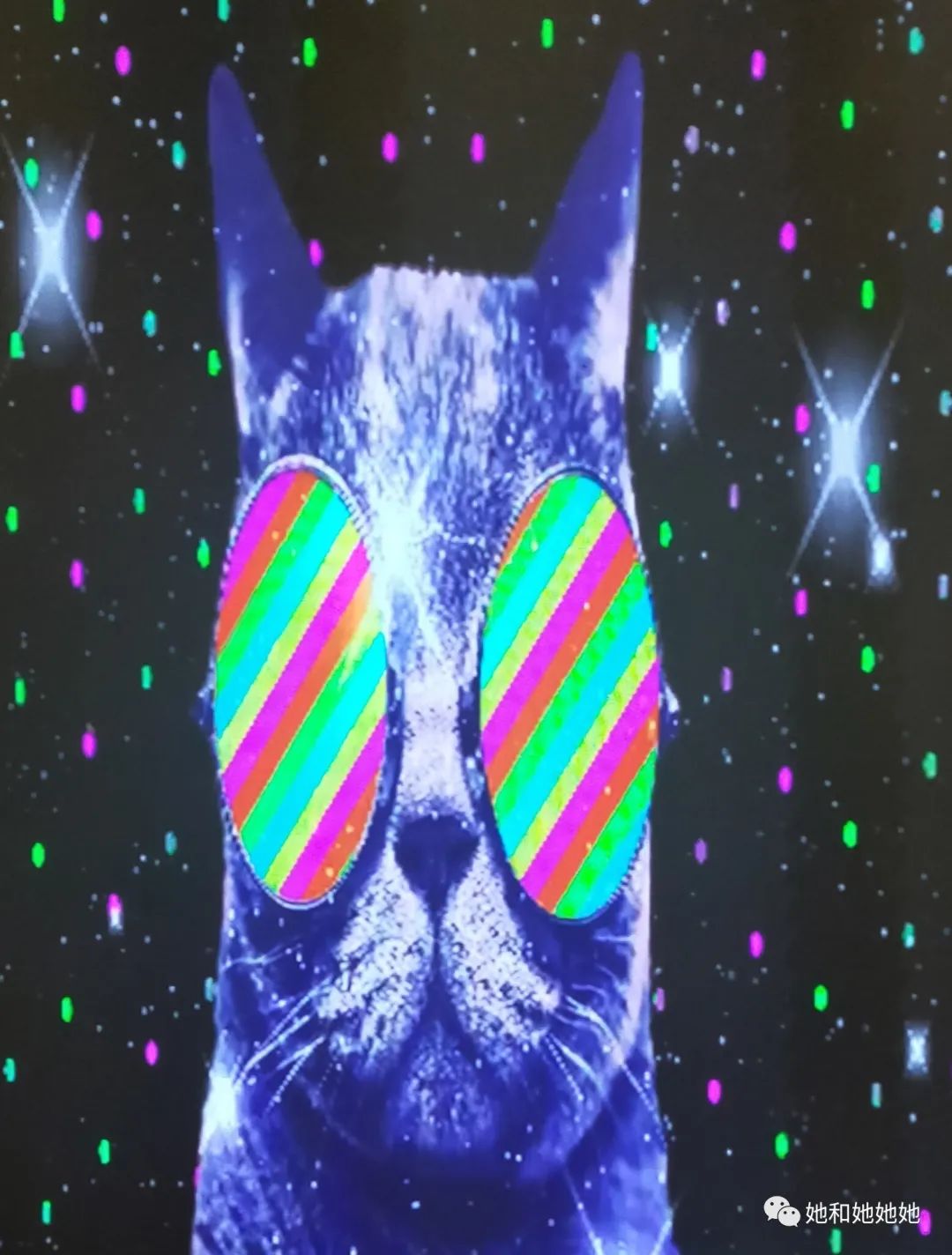 唯品会奥莱南京,唯品会城市奥莱怎么样