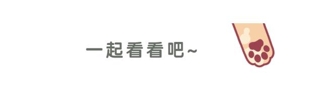 呼图壁县第一书记,昌吉呼图壁县委书记