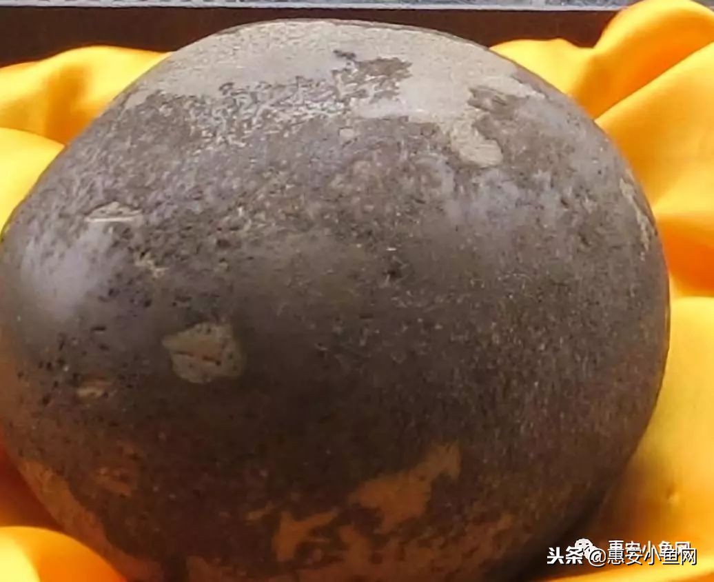 台商区|宰杀8斤老母鸡,肚内1斤“鸡宝”!能卖多少?