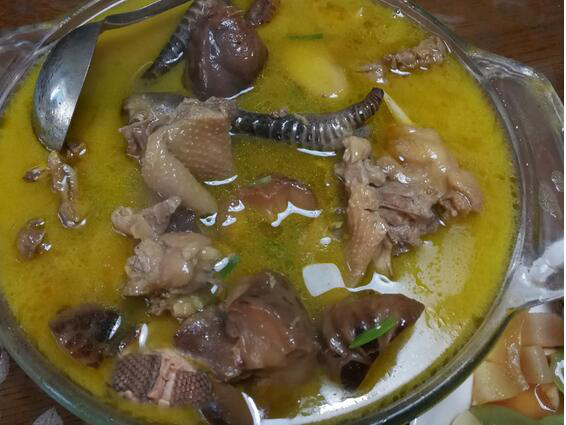 蛇肉煲老母鸡,老蛇肉龙凤汤