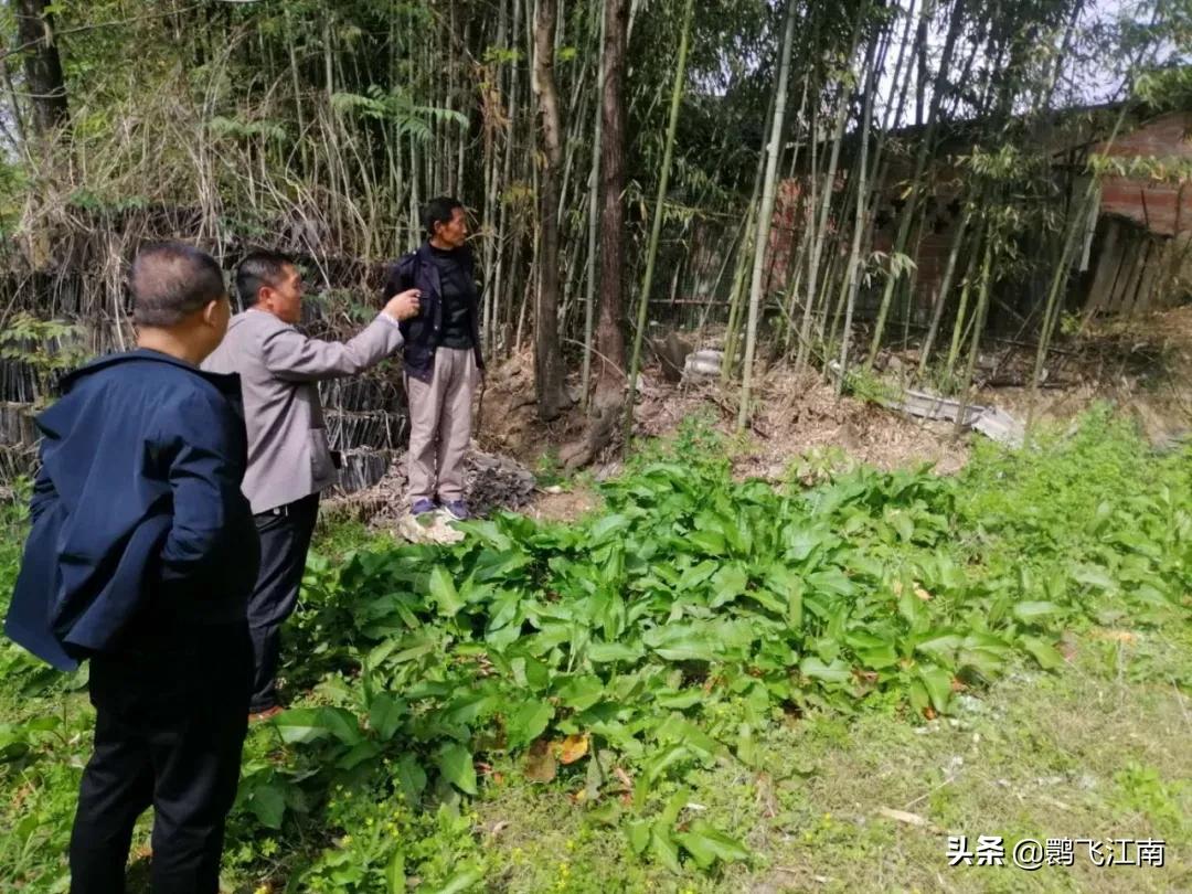 赞长岭,周崇红(洋县)