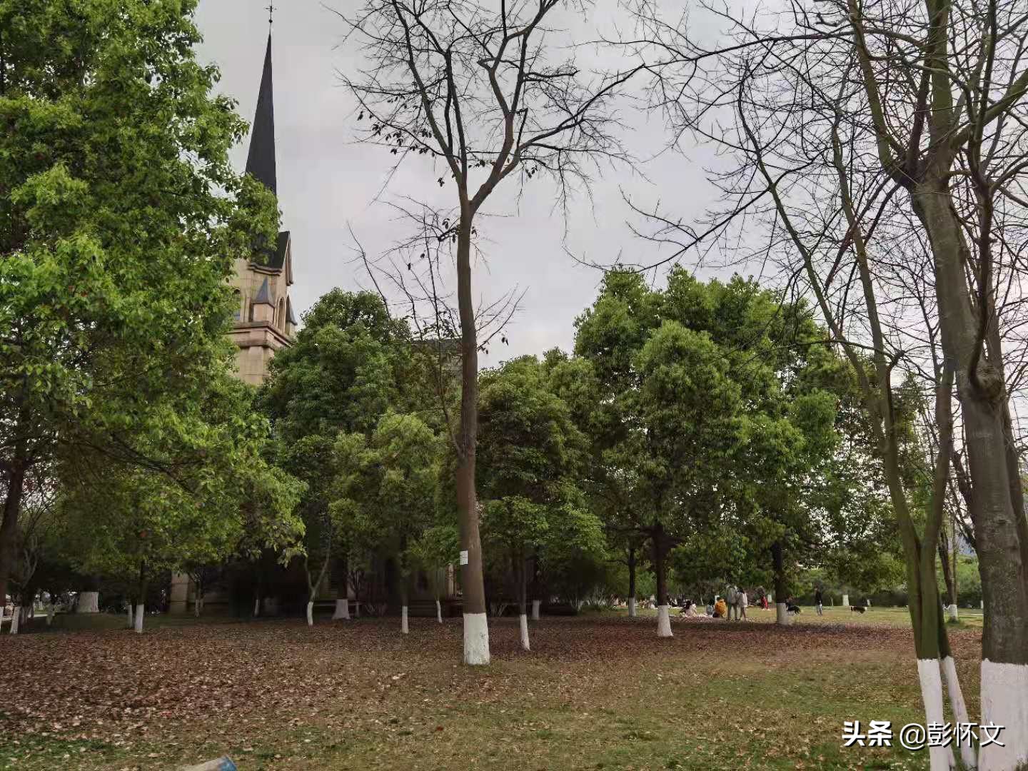 最新财税问题解答问题合集,最新财税知识解答大全