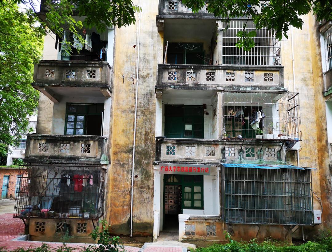 广西大学变化历史,广西大学文科毕业的你后来咋样了