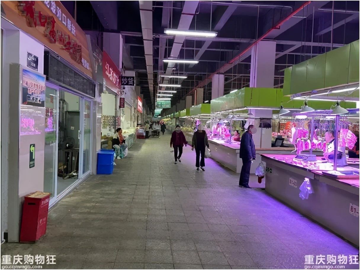 重庆有个什么不夜城,重庆盘龙旅游