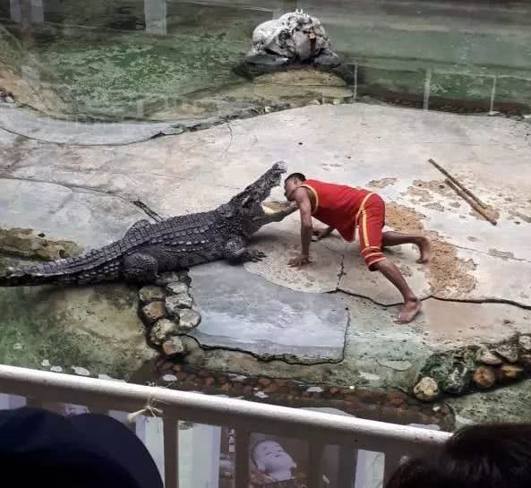 爱上金沙,爱上旅游国际旅行社