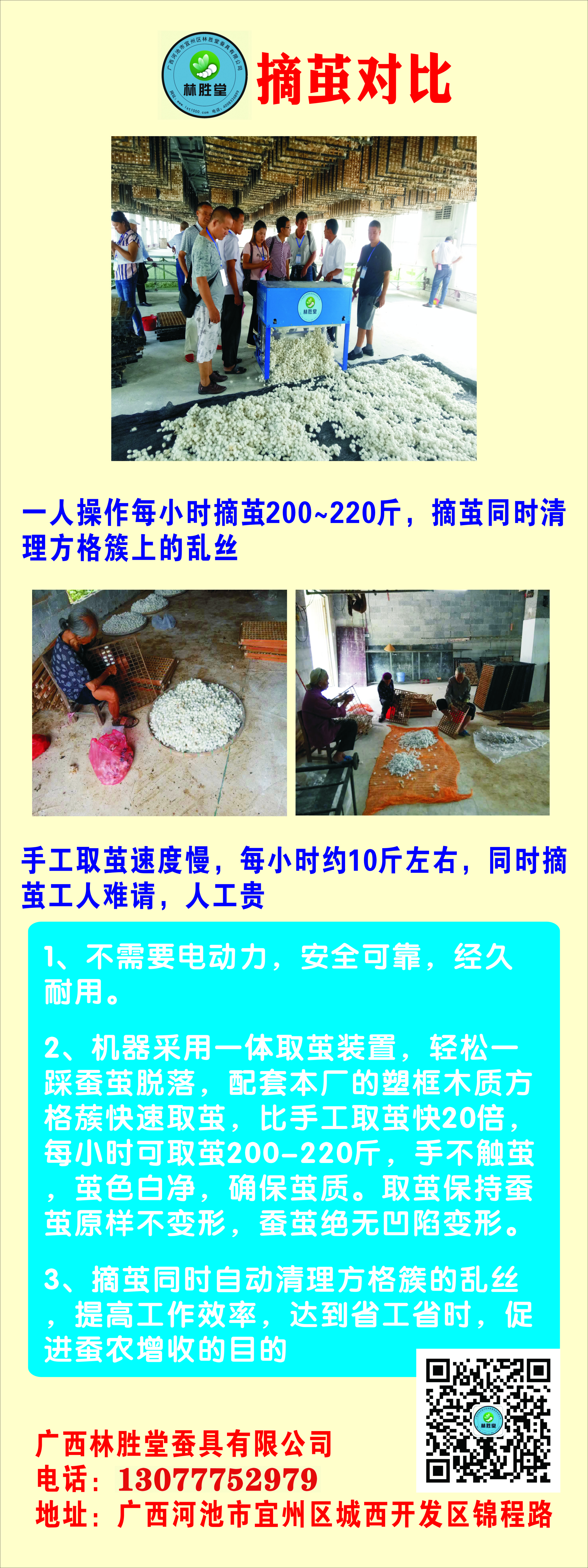 家蚕体外中毒的视频,家蚕农药中毒怎么办