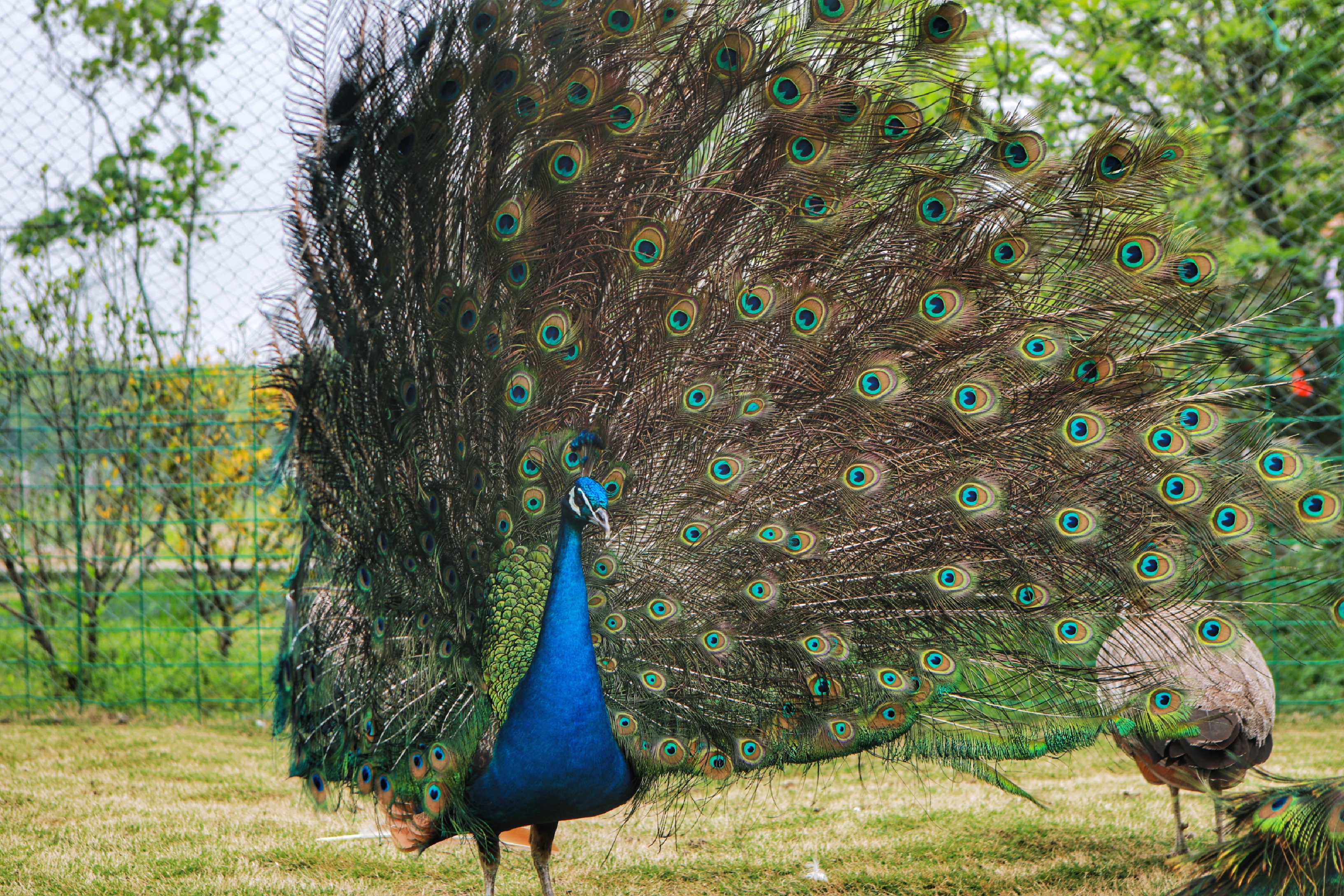 长三角湾区，有个深藏闺中的苏州太湖新城，被看作是未来之城