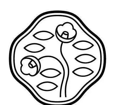 悦薇抗糖眼霜,悦薇抗皱精华眼霜