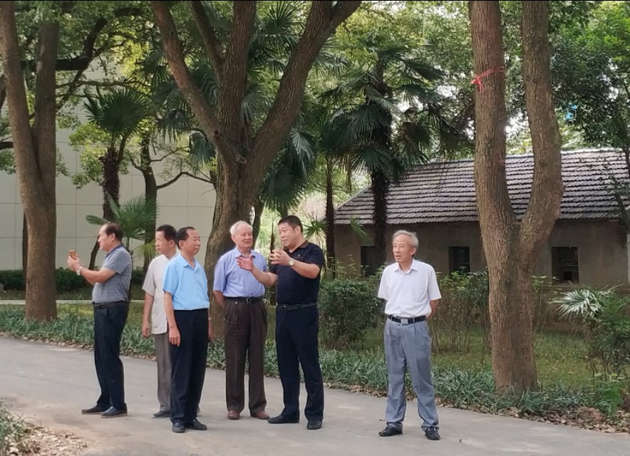 楹联诗词与书法,楹联书法作品欣赏长联