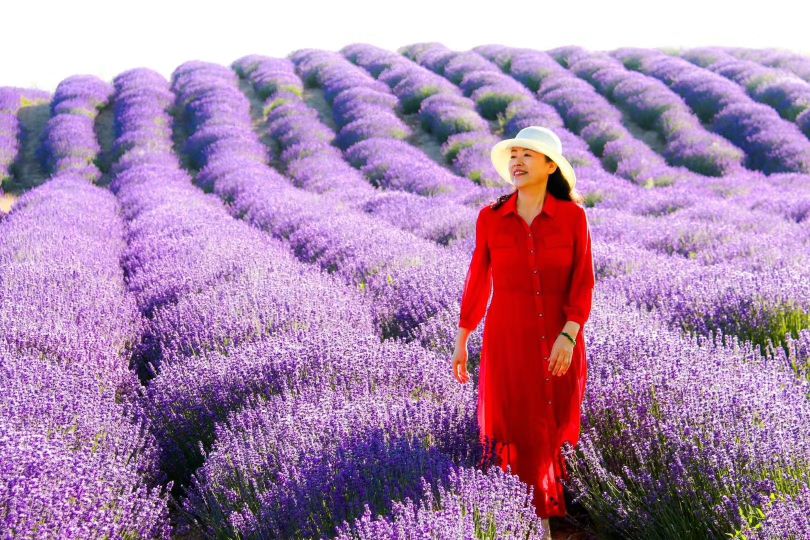 植物物语香草沐浴露,植物园薰衣草