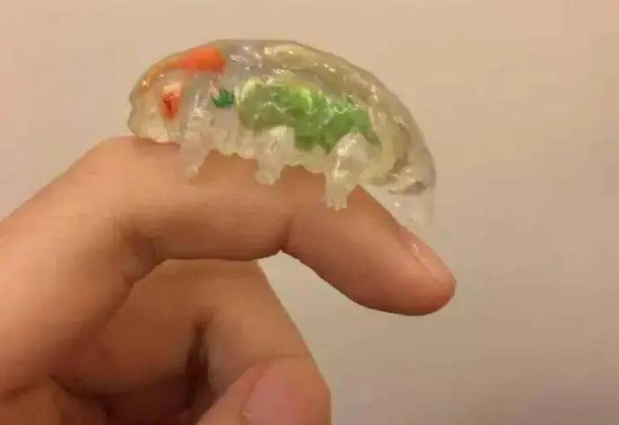 水熊虫能被核弹杀死吗,核弹能不能炸死水熊虫