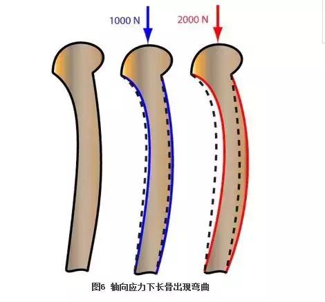 循证医学学习指导,循证医学连续病例