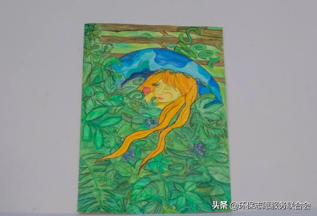 成都高校生态环境大联盟｜废旧物创意设计—四川国际标榜职业学院