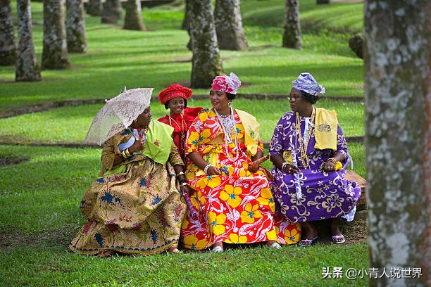 苏里南是荷兰的殖民地吗,南美洲的官方语言是什么