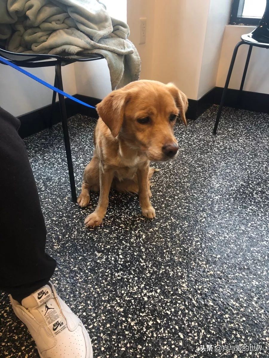 鏅氫笂瀹堕噷杩涗簡涓嶆槑鐢熺墿,鐢峰瓙鍗婂鍥炲閬囦笂涓嶆槑鐢熺墿