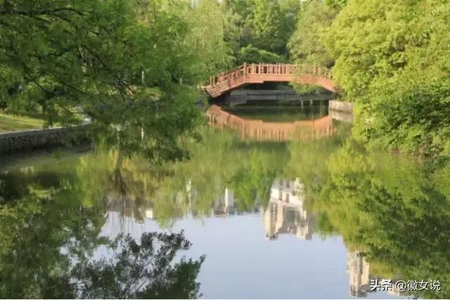 合肥各个区pk郑州,合肥是全国最漂亮的城市吗