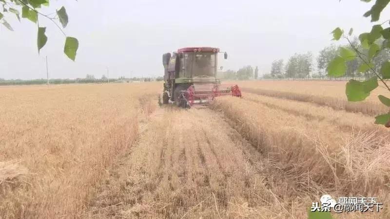 沧桑巨变五十年回望历史七绝,沧桑巨变国富民强