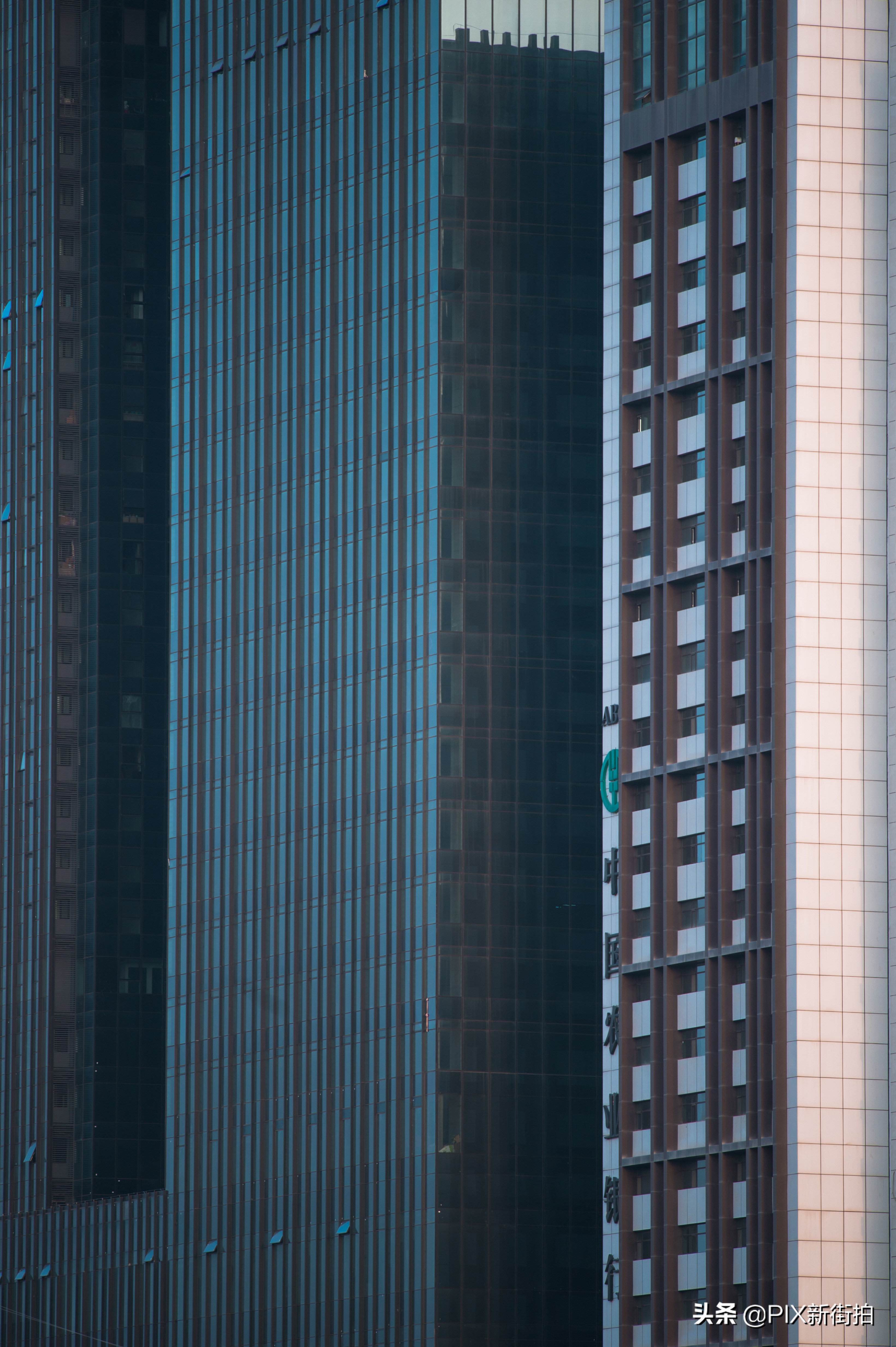 尼康70-300mmf4.5-6.3画质测评,尼康70-300和70-200f4的选择