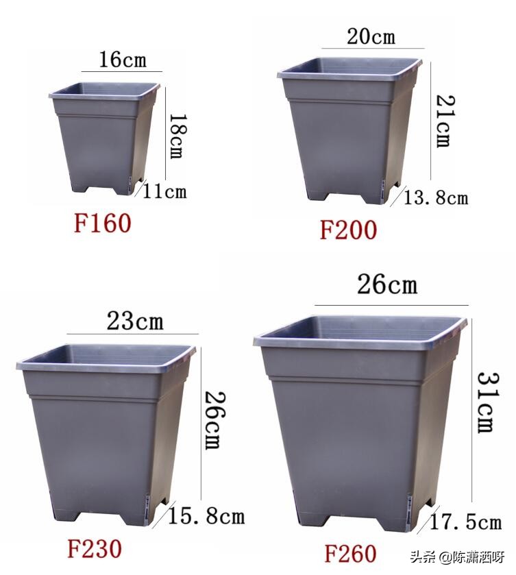 常见花卉花盆图片大全,各种花盆的优缺点图片介绍