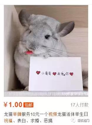 看看别人是怎么赚钱的,淘宝卖虚拟资料赚钱