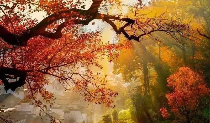 婺源市区游玩,婺源本地人攻略