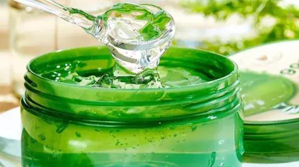 养芦荟用什么盆最好,在家里养芦荟居然有这么多好处