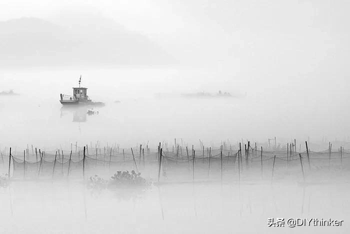 品味中国诗词之美 (千年诗情千年叹领略古典诗词的美)